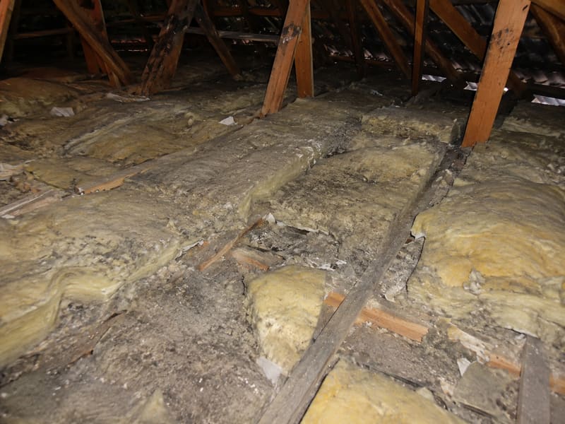Ceiling Insulation Removal — yd-ceilrem-21328