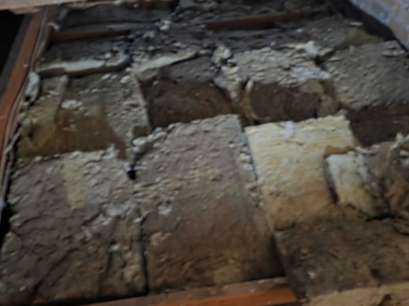 Ceiling Insulation Removal — yd-ceilrem-alb-121149