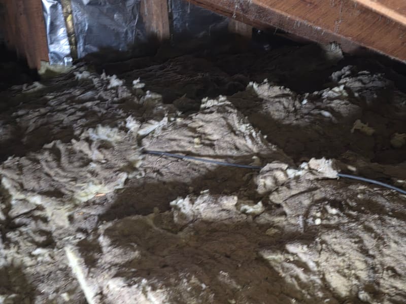Ceiling Insulation Removal — yd-ceilrem-alb-122804