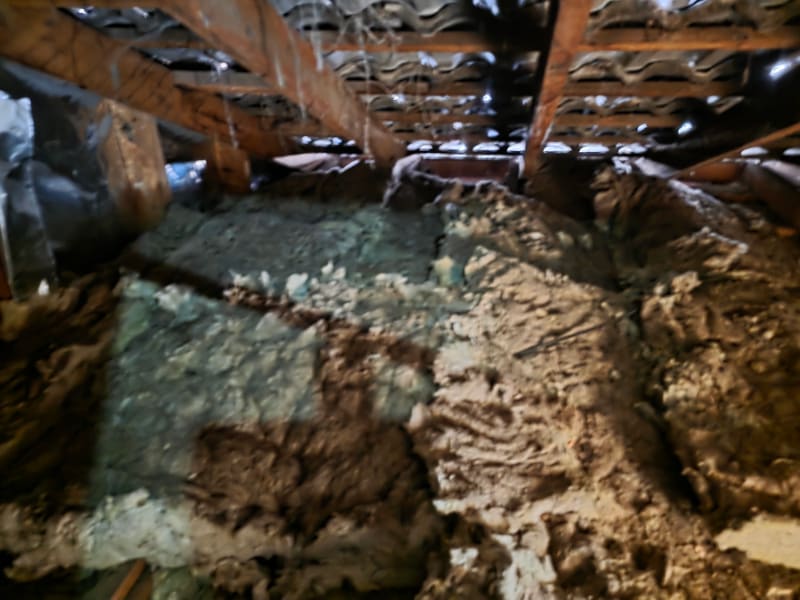 Ceiling Insulation Removal — yd-ceilrem-alb-122909